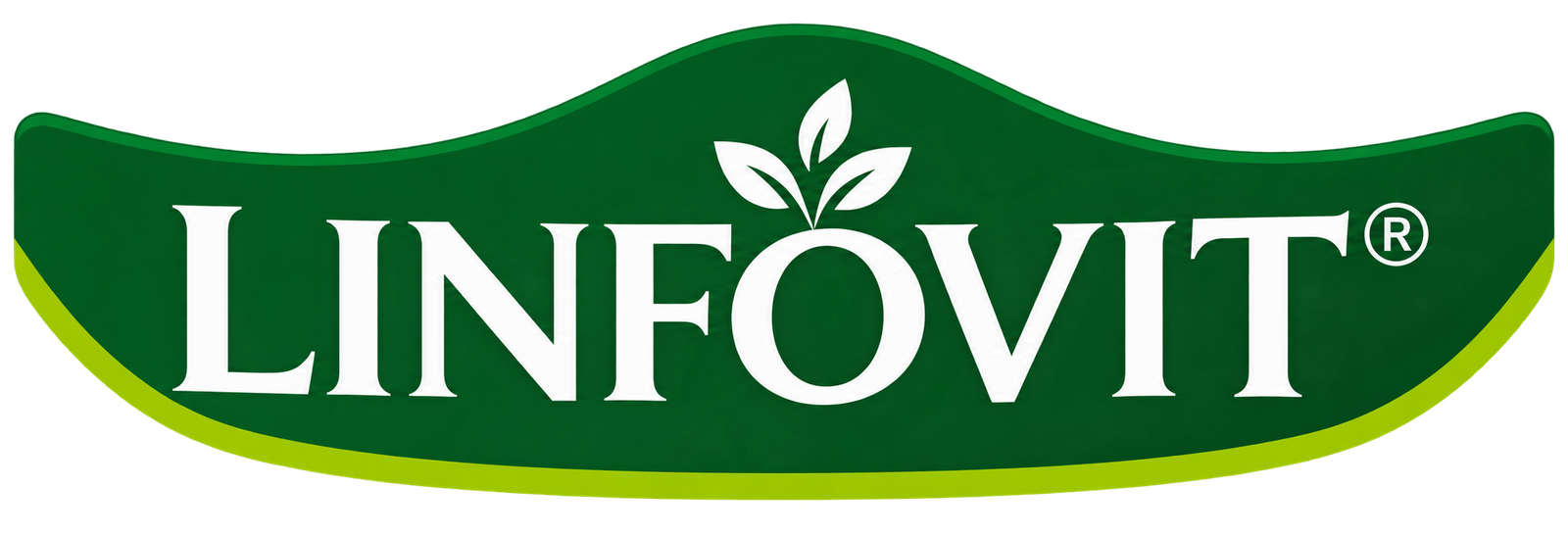 Linfovit